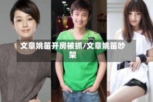 文章姚笛开房被抓/文章姚笛吵架