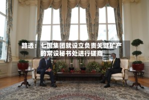 路透：七国集团就设立负责关键矿产的常设秘书处进行磋商