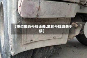 【重型车辆号牌丢失,车辆号牌遗失手续】