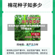 棉花籽2015行情/棉花籽棉费用2020行情走势