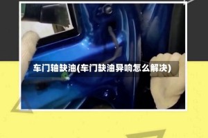 车门轴缺油(车门缺油异响怎么解决)