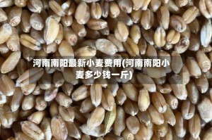 河南南阳最新小麦费用(河南南阳小麦多少钱一斤)