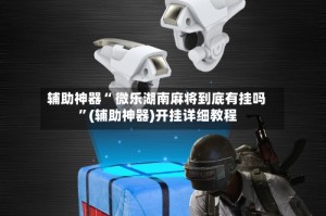 辅助神器“ 微乐湖南麻将到底有挂吗 ”(辅助神器)开挂详细教程