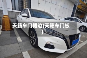 天籁车门裙边(天籁车门板)