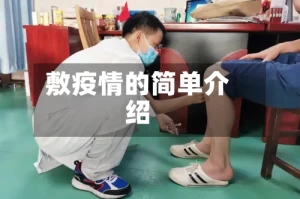 敷疫情的简单介绍