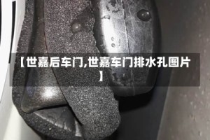 【世嘉后车门,世嘉车门排水孔图片】