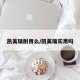 凯美瑞耐用么/凯美瑞实用吗