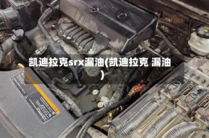 凯迪拉克srx漏油(凯迪拉克 漏油)
