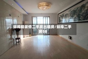 蚌埠精装修二手房出租房/蚌埠二手房58