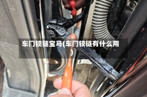 车门铰链宝马(车门铰链有什么用)