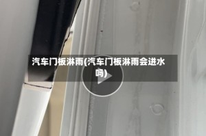 汽车门板淋雨(汽车门板淋雨会进水吗)