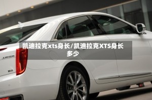 凯迪拉克xts身长/凯迪拉克XTS身长多少