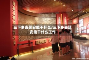 三下乡去延安能干什么/三下乡去延安能干什么工作