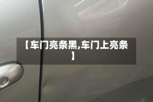 【车门亮条黑,车门上亮条】