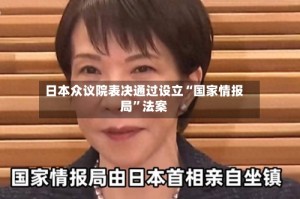 日本众议院表决通过设立“国家情报局”法案