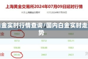 白金实时行情查询/国内白金实时走势