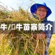 犇牛/犇牛苗寨简介