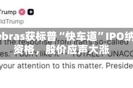 Cerebras获标普“快车道”IPO纳入资格，股价应声大涨