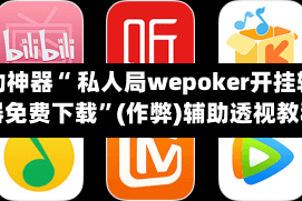 辅助神器“ 私人局wepoker开挂辅助器免费下载”(作弊)辅助透视教程