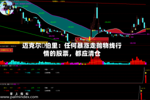 迈克尔・伯里：任何暴涨走抛物线行情的股票，都应清仓