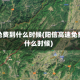 高速免费到什么时候(阳信高速免费到什么时候)