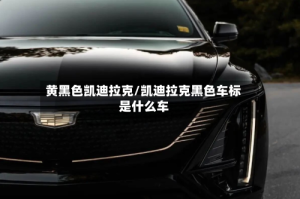 黄黑色凯迪拉克/凯迪拉克黑色车标是什么车