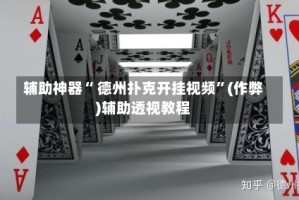辅助神器“ 德州扑克开挂视频”(作弊)辅助透视教程