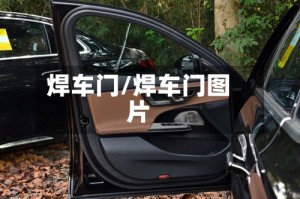 焊车门/焊车门图片