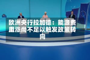欧洲央行拉加德：能源费用上涨尚不足以触发政策转向