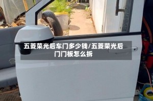 五菱荣光后车门多少钱/五菱荣光后门门板怎么拆