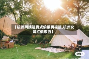 【杭州阿姨进货式偷菜再被抓,杭州女网红偷东西】