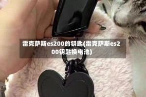 雷克萨斯es200的钥匙(雷克萨斯es200钥匙换电池)