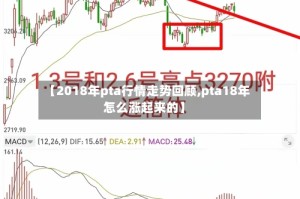 【2018年pta行情走势回顾,pta18年怎么涨起来的】