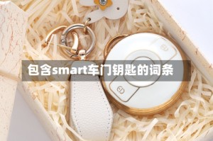 包含smart车门钥匙的词条