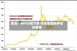原油：WIT小幅下跌 市场重燃美伊谈判憧憬