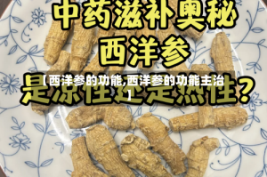 【西洋参的功能,西洋参的功能主治】
