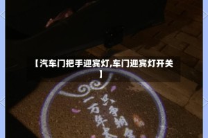 【汽车门把手迎宾灯,车门迎宾灯开关】