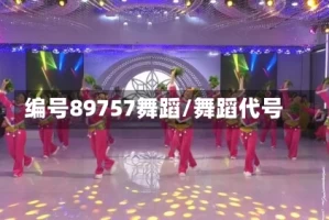 编号89757舞蹈/舞蹈代号