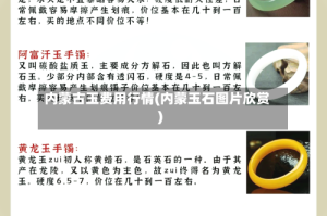 内蒙古玉费用行情(内蒙玉石图片欣赏)