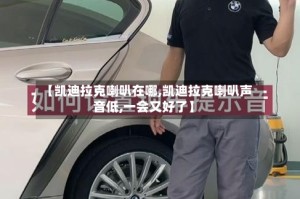 【凯迪拉克喇叭在哪,凯迪拉克喇叭声音低,一会又好了】