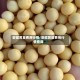 安徽黄豆费用行情/安徽黄豆费用行情查询