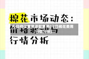 今日棉花费用最新费用(今日棉花费用行情分析)