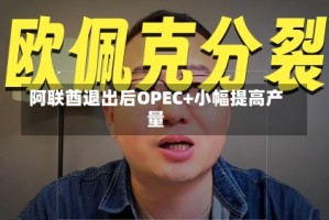 阿联酋退出后OPEC+小幅提高产量