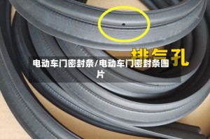 电动车门密封条/电动车门密封条图片