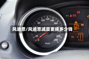 风迪思/风迪思减震更换多少钱