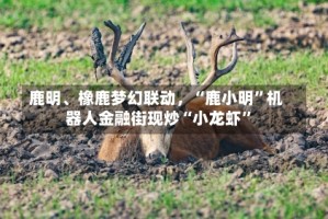 鹿明、橡鹿梦幻联动，“鹿小明”机器人金融街现炒“小龙虾”
