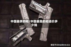 中国最贵的枪/中国最贵的枪造价多少钱