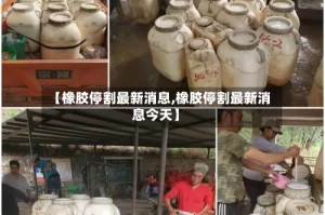 【橡胶停割最新消息,橡胶停割最新消息今天】