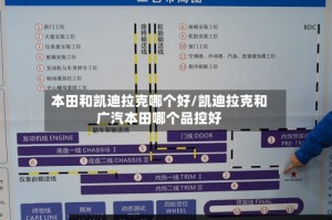 本田和凯迪拉克哪个好/凯迪拉克和广汽本田哪个品控好