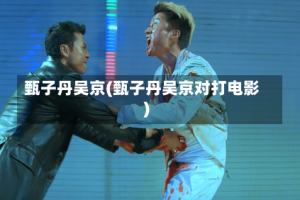 甄子丹吴京(甄子丹吴京对打电影)